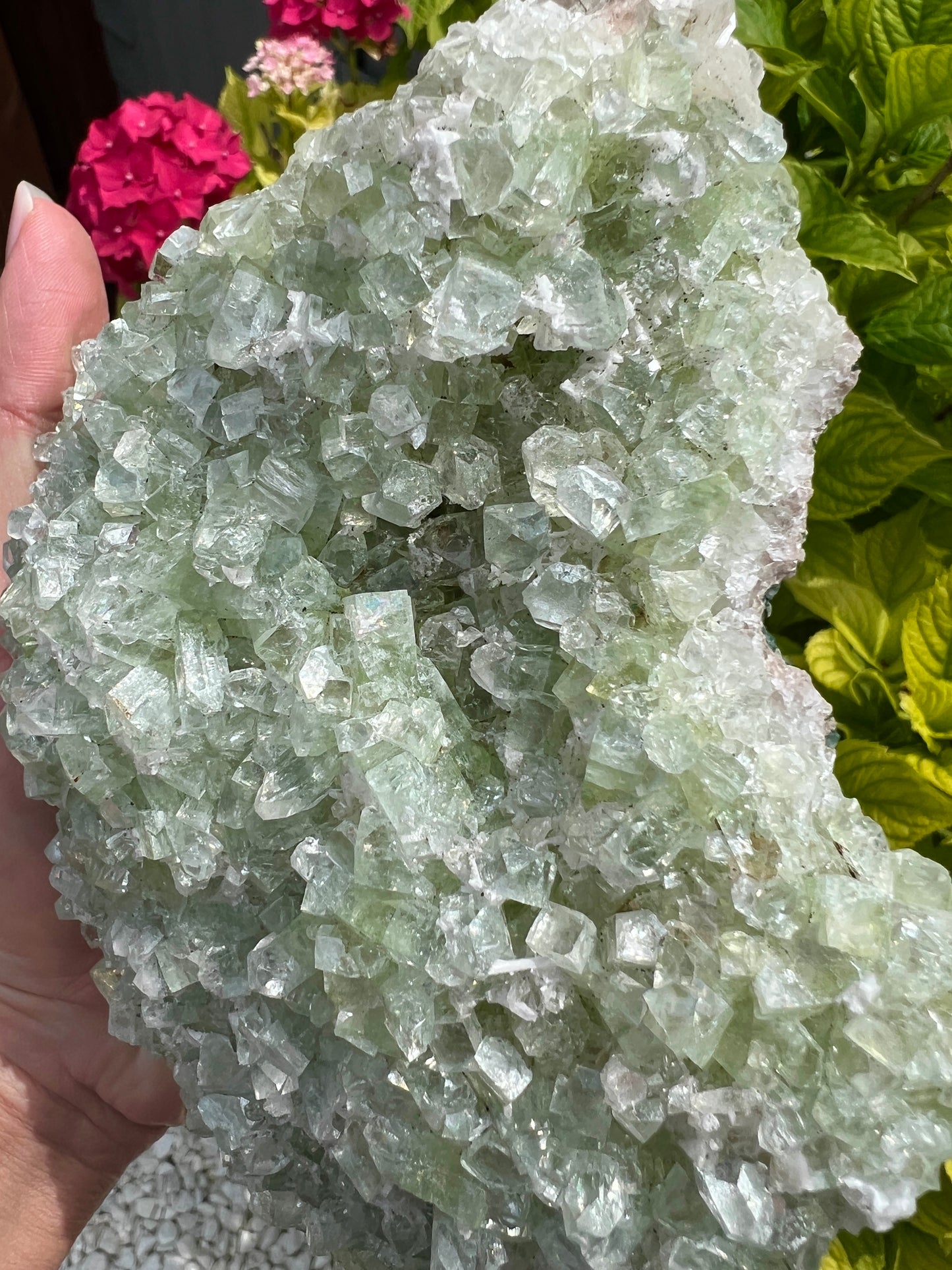 Green Apophyllite (Rare)