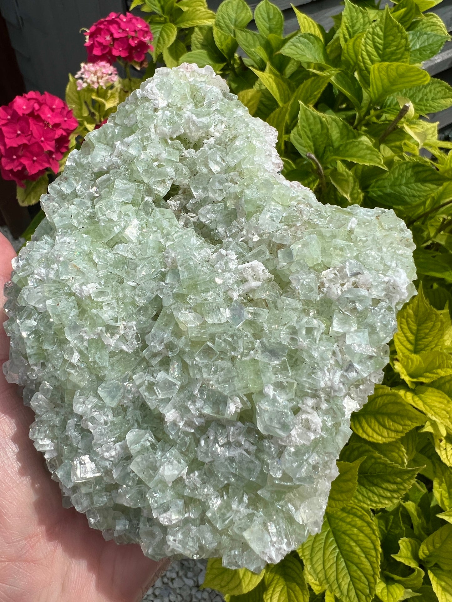 Green Apophyllite (Rare)