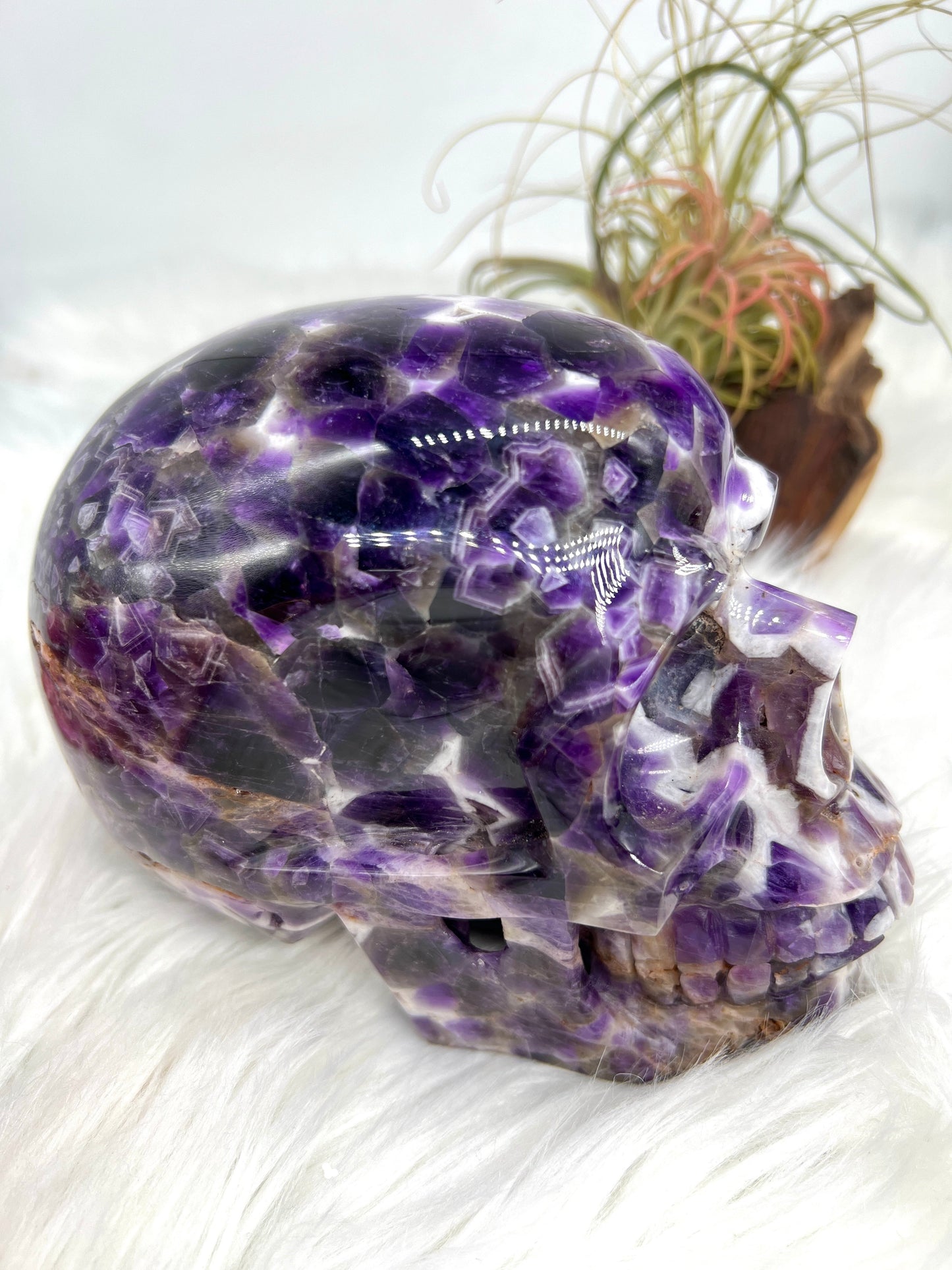 Chevron Amethyst Skull