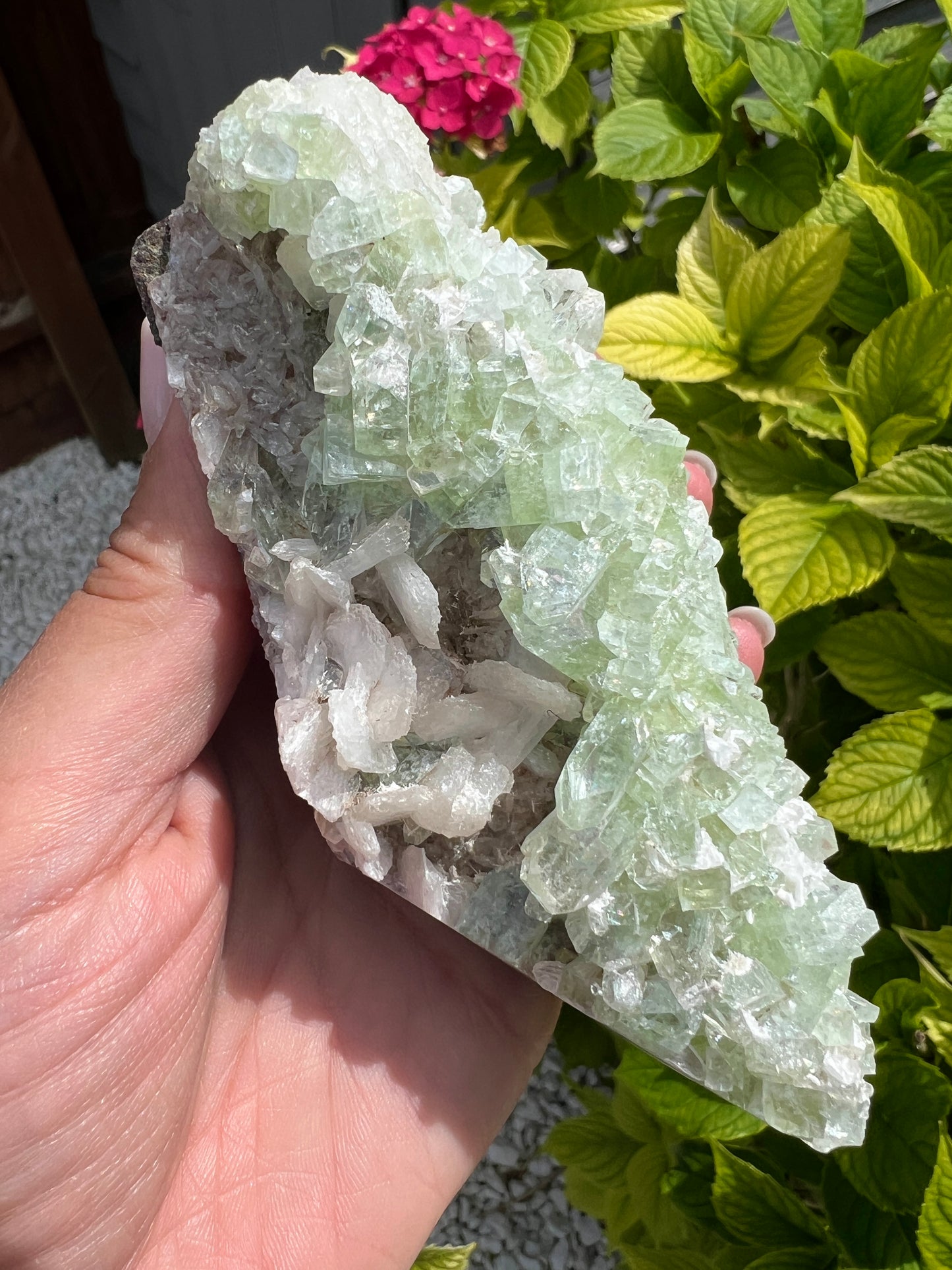 Green Apophyllite (Rare)