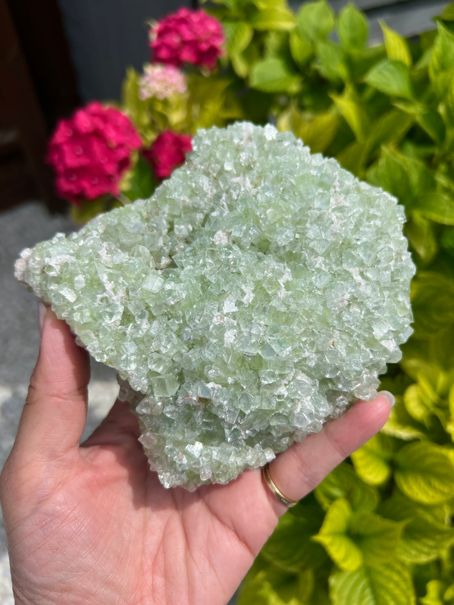 Green Apophyllite (Rare)