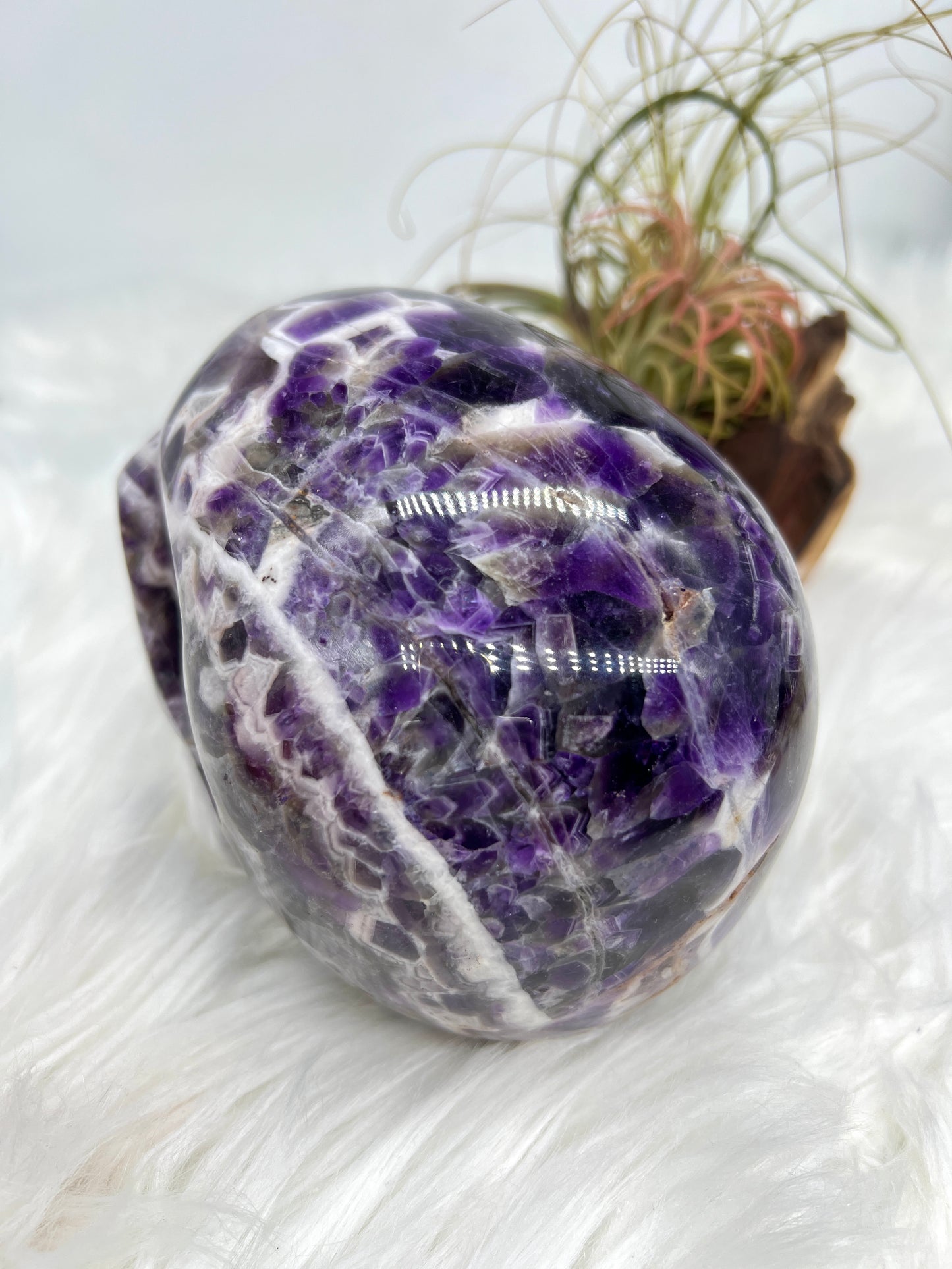 Chevron Amethyst Skull