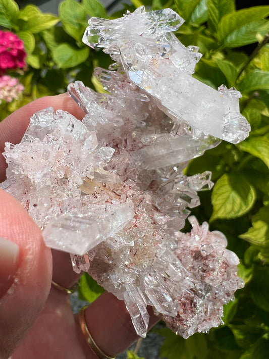 Pink Columbian Lemurian Cluster