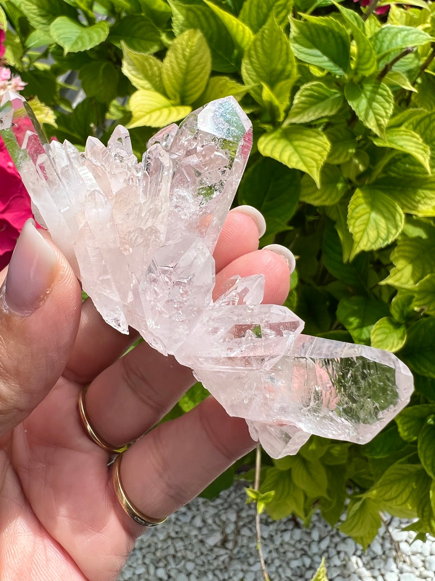 Pink Columbian Lemurian Cluster