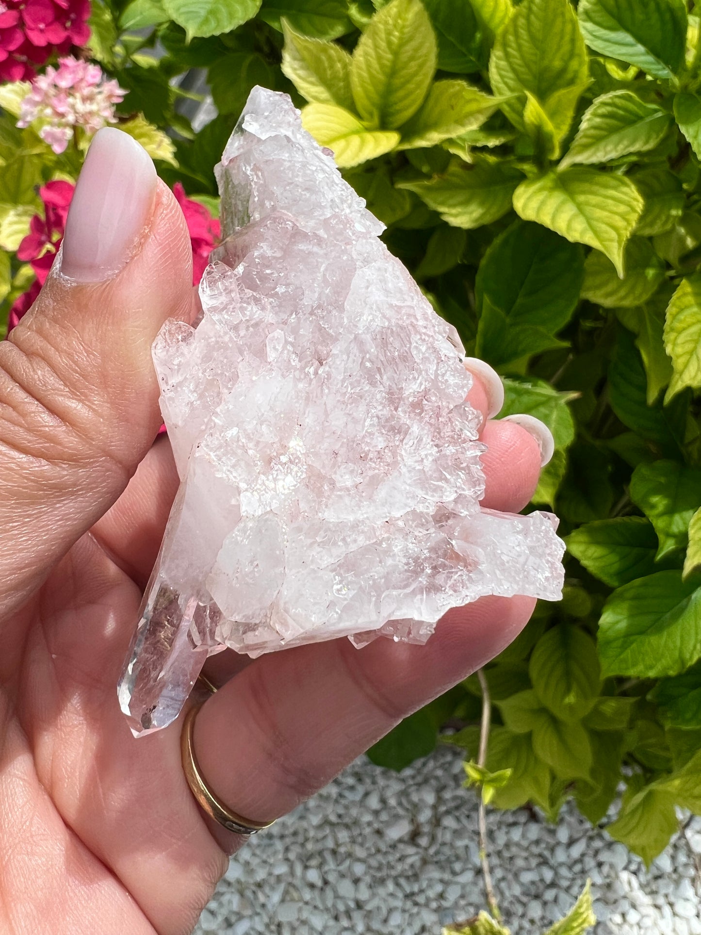 Pink Columbian Lemurian Cluster