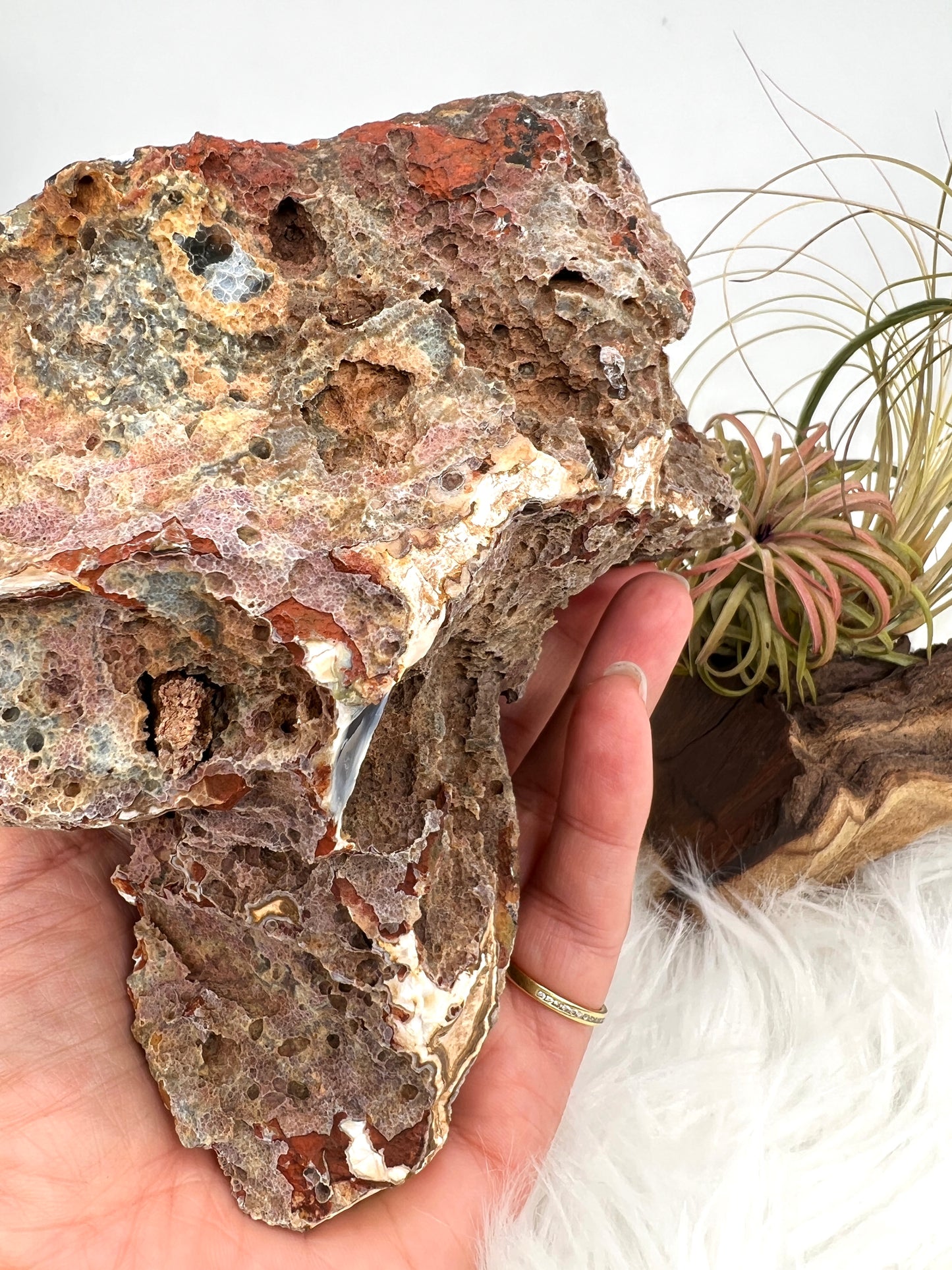 Druzy Black Chalcedony and Agate Geode