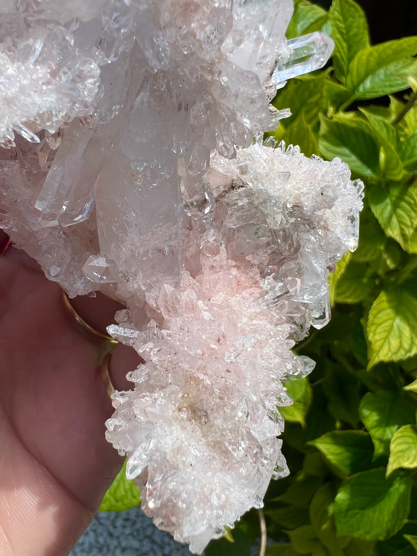 Pink Columbian Lemurian Cluster