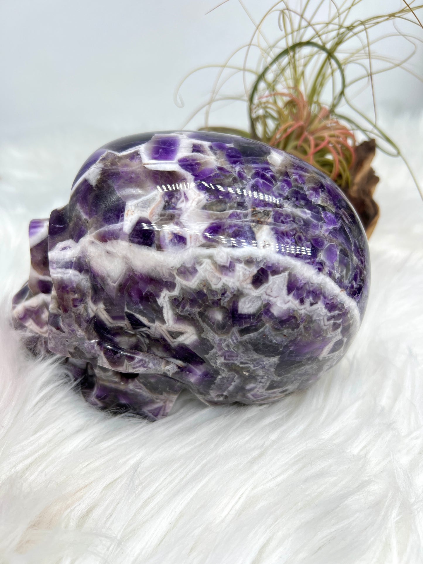 Chevron Amethyst Skull