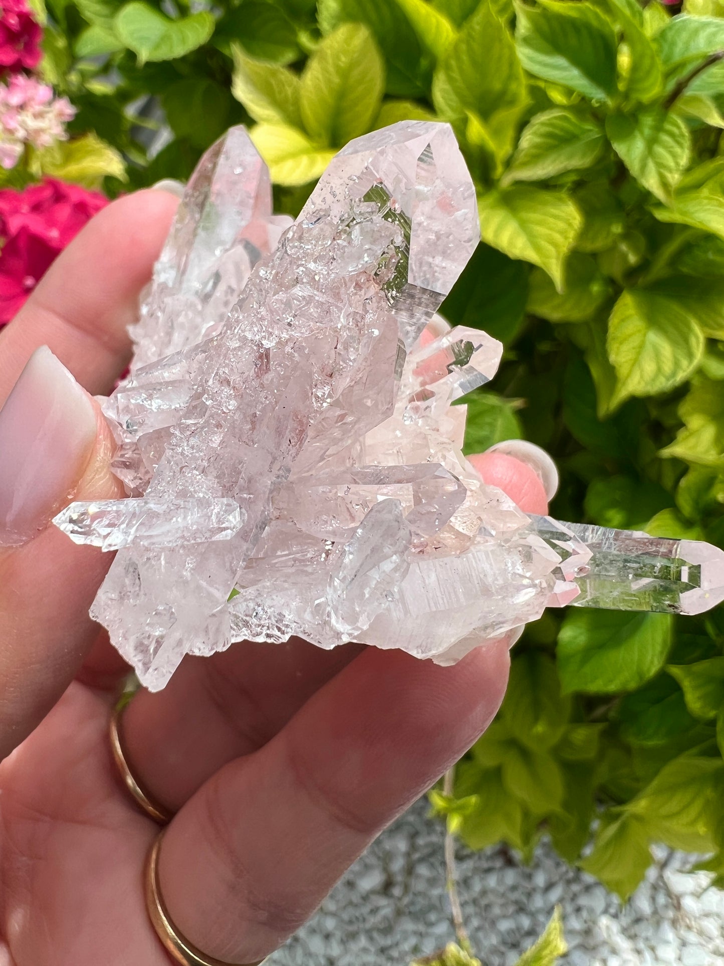 Pink Columbian Lemurian Cluster