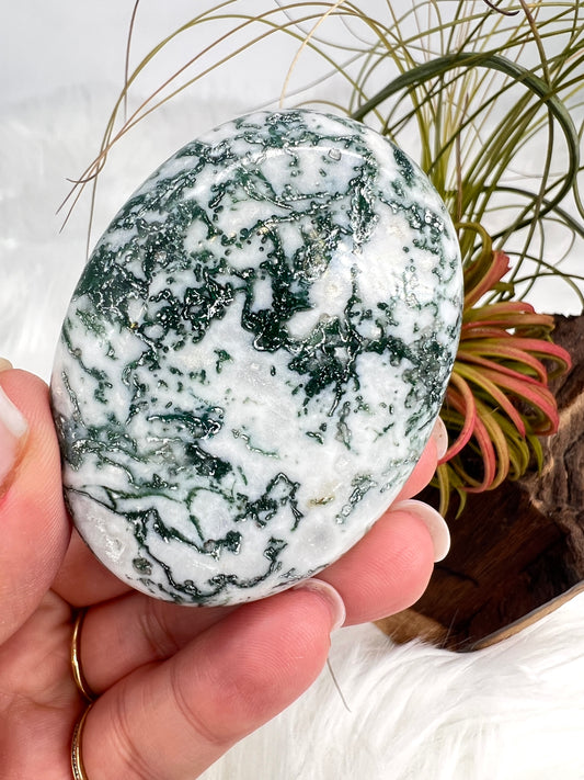 Tree Agate Palmstone