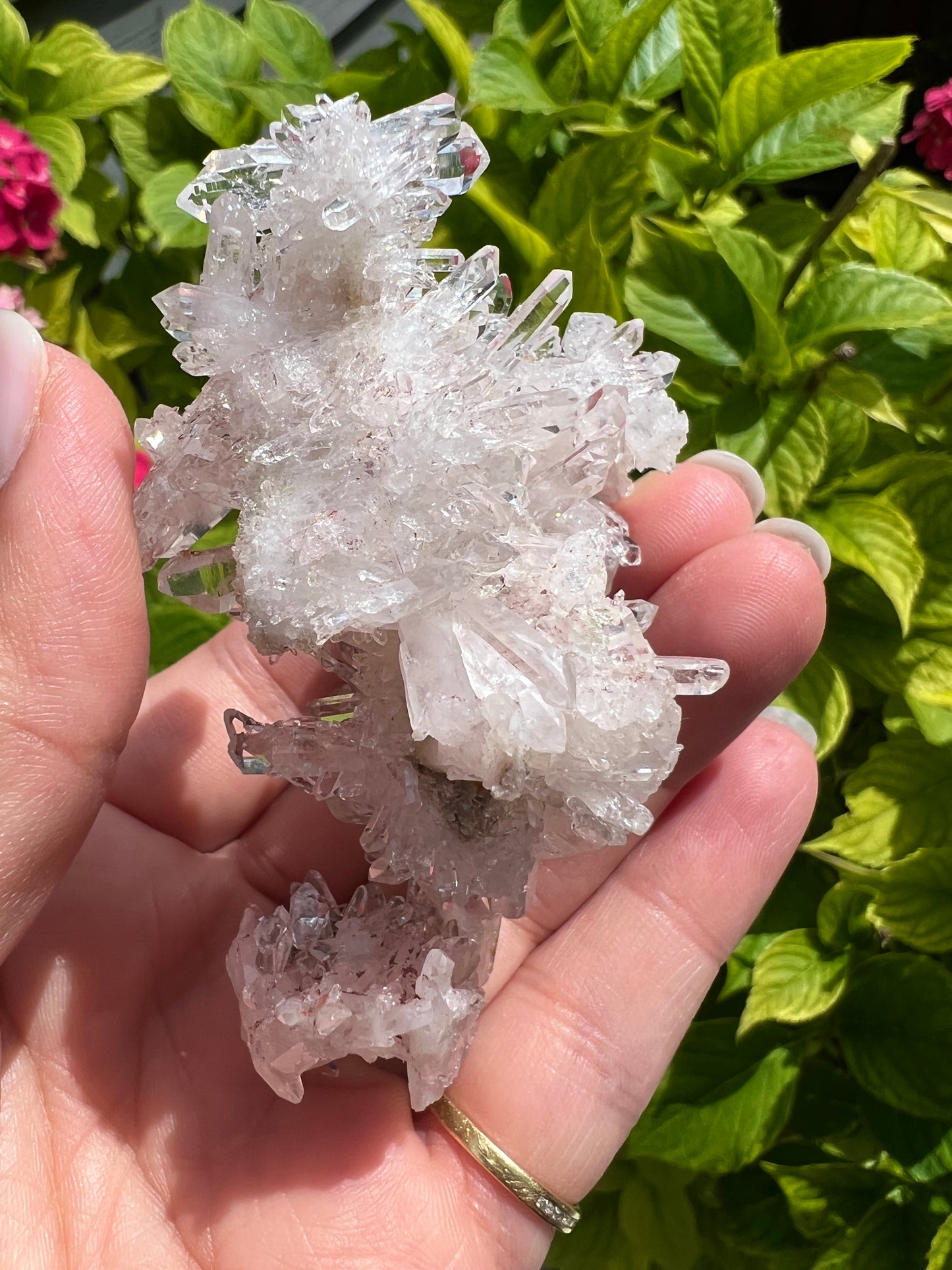 Pink Columbian Lemurian Cluster