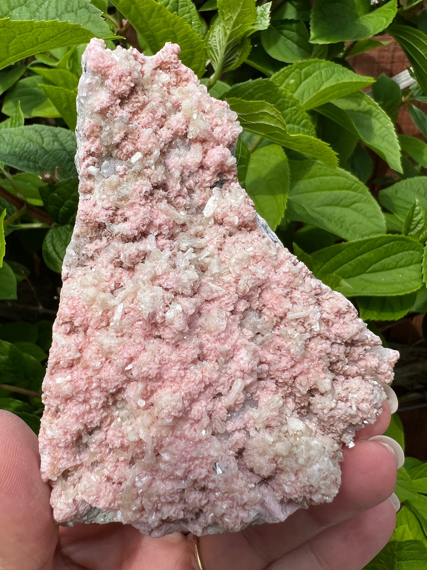 Rhodochrosite with Stilbite