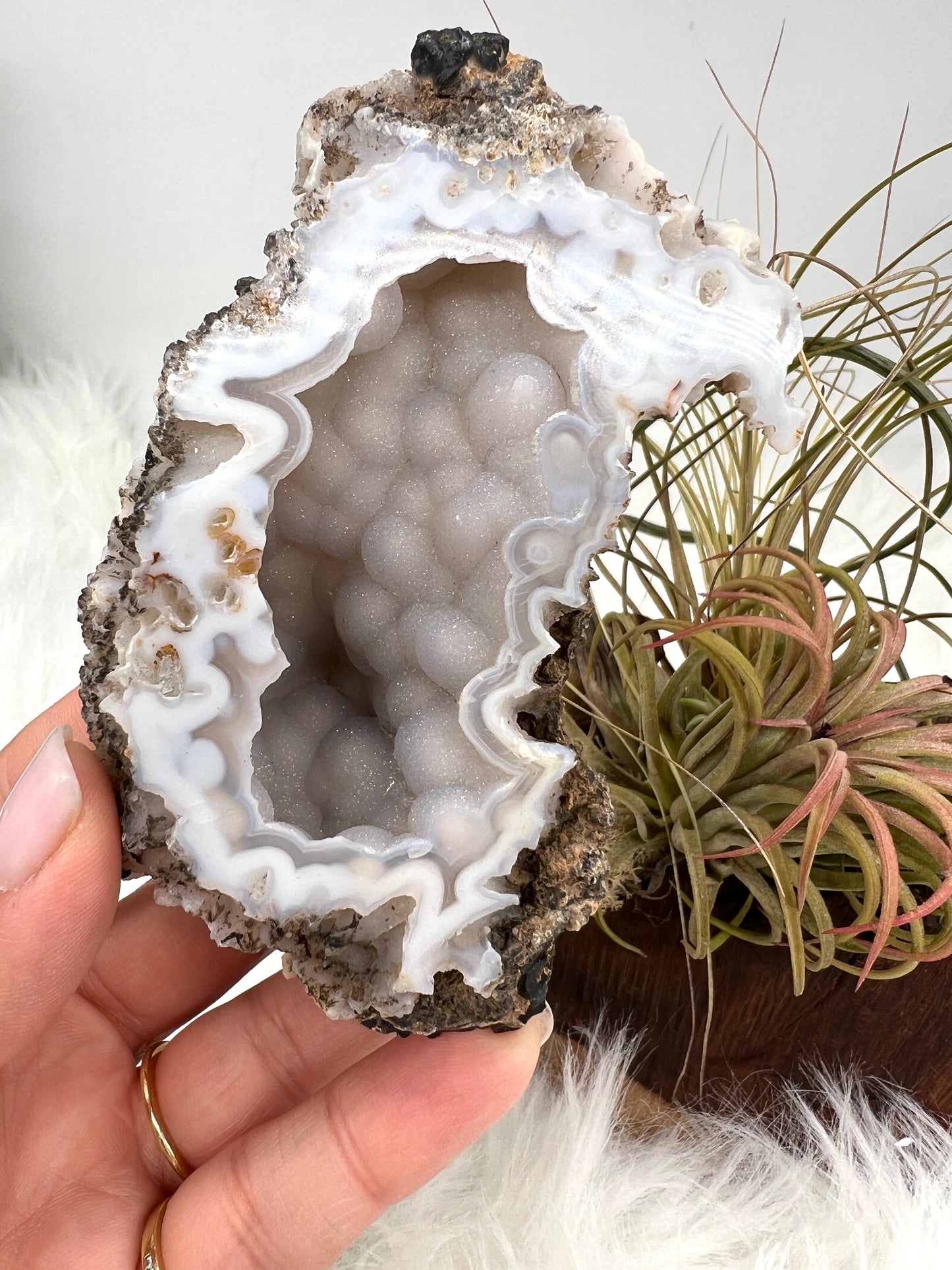 Druzy Chalcedony and Agate Geode