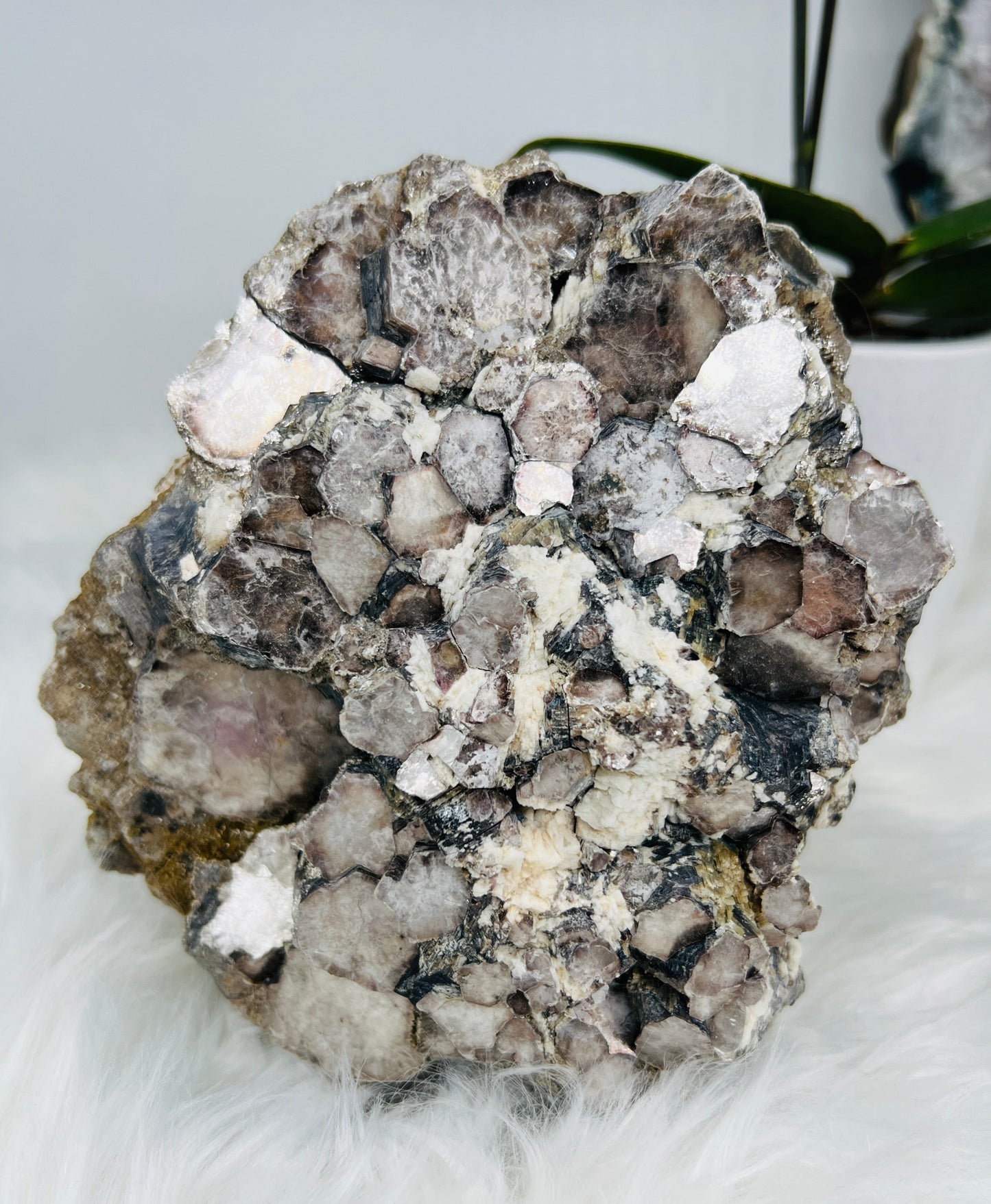 Lepidolite Mica Cluster