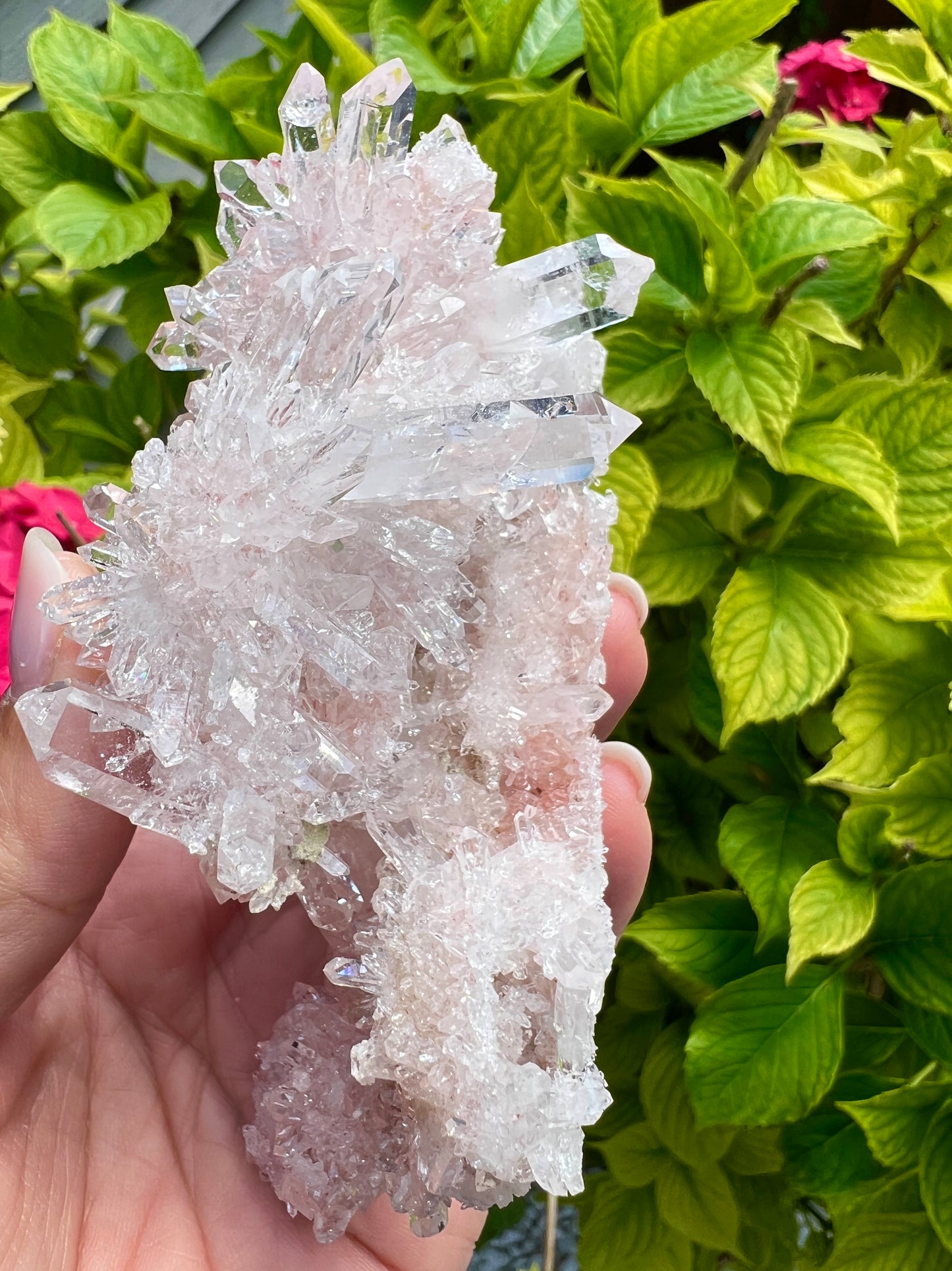 Pink Columbian Lemurian Cluster