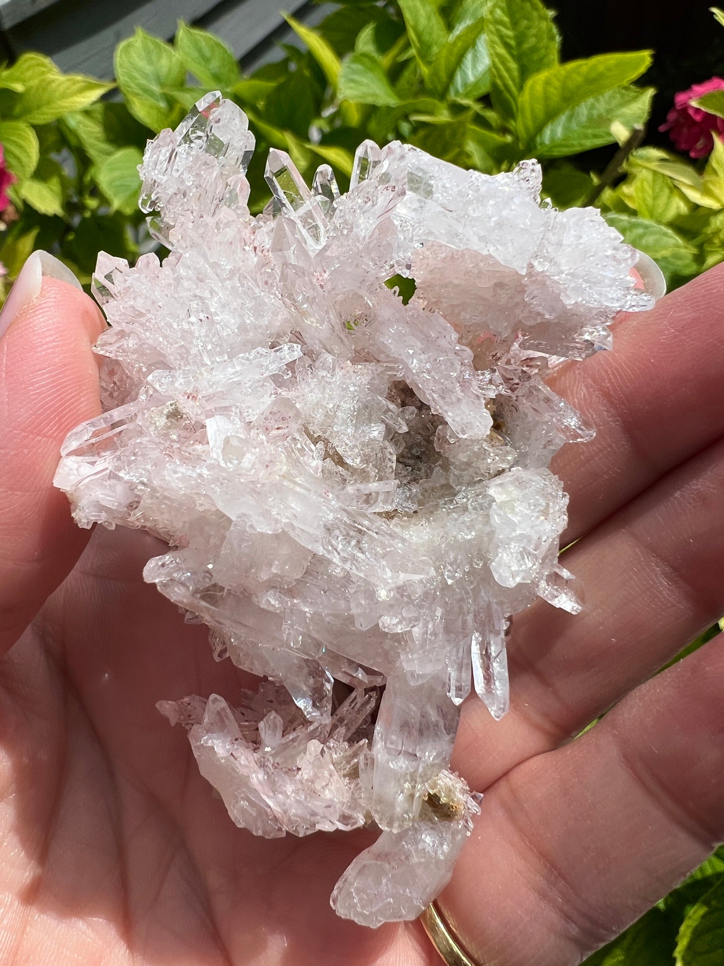 Pink Columbian Lemurian Cluster