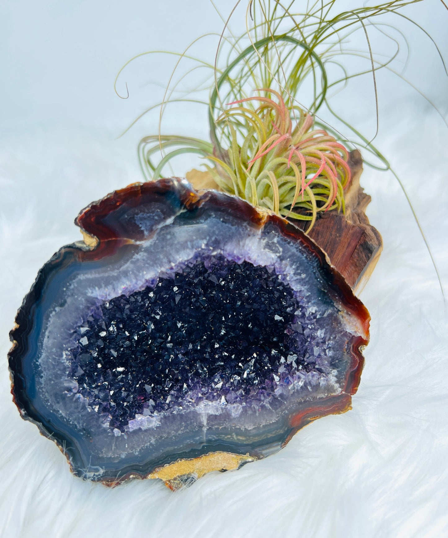 Agate and Amethyst Geode