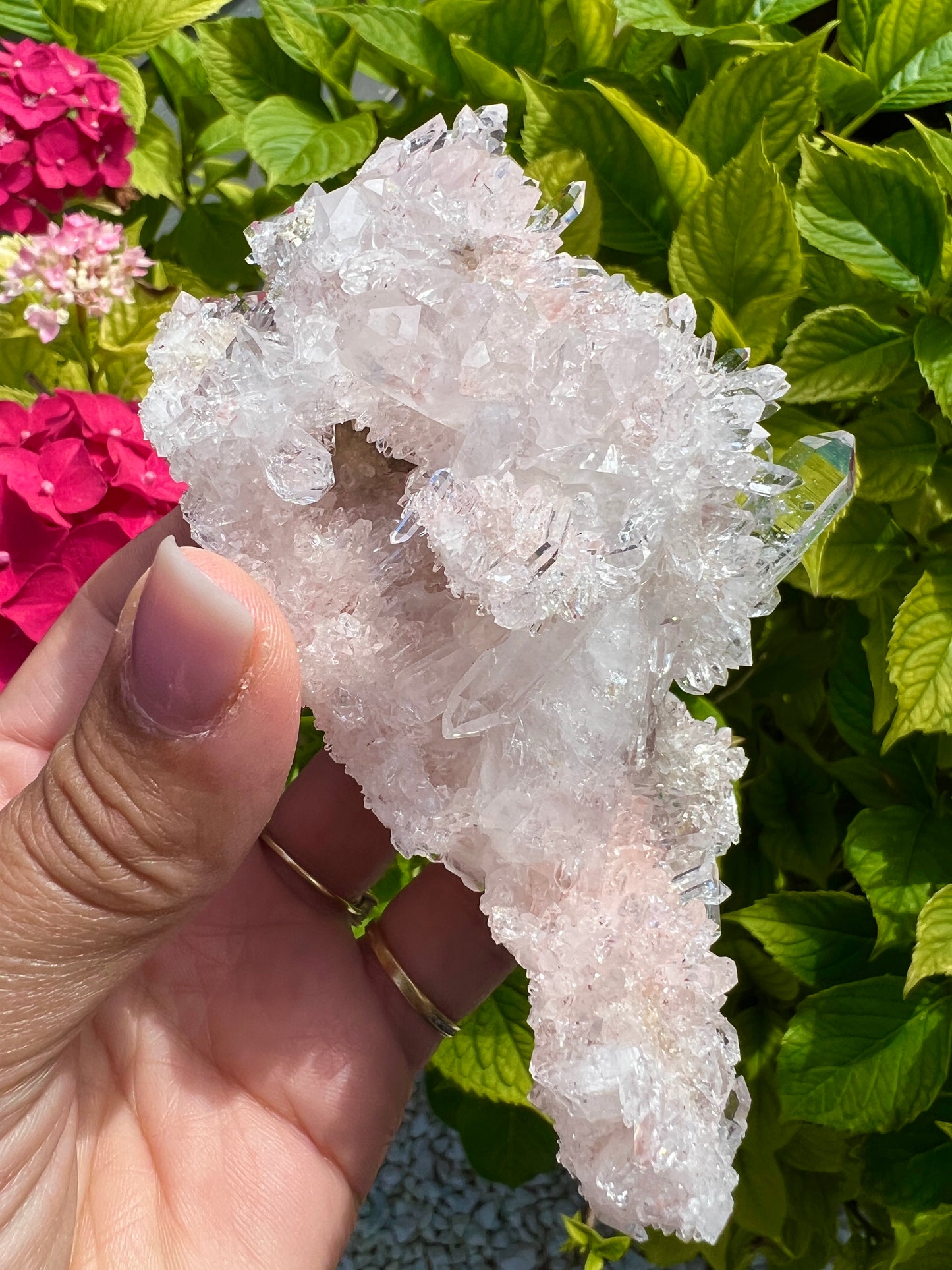 Pink Columbian Lemurian Cluster