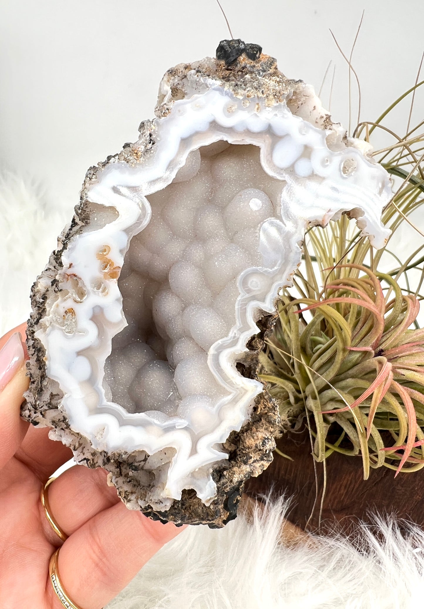 Druzy Chalcedony and Agate Geode