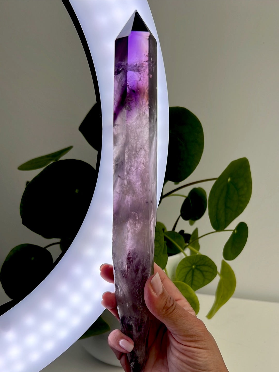 Amethyst Sceptre with Phantoms