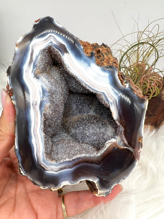 Druzy Black Chalcedony and Agate Geode