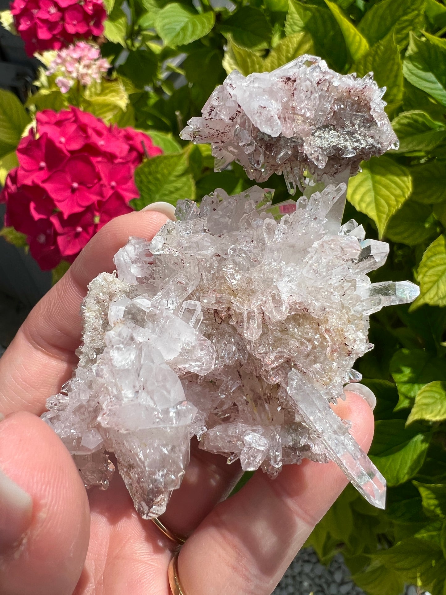 Pink Columbian Lemurian Cluster