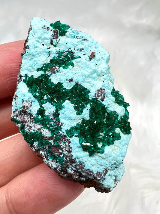 Dioptase on Plancheite