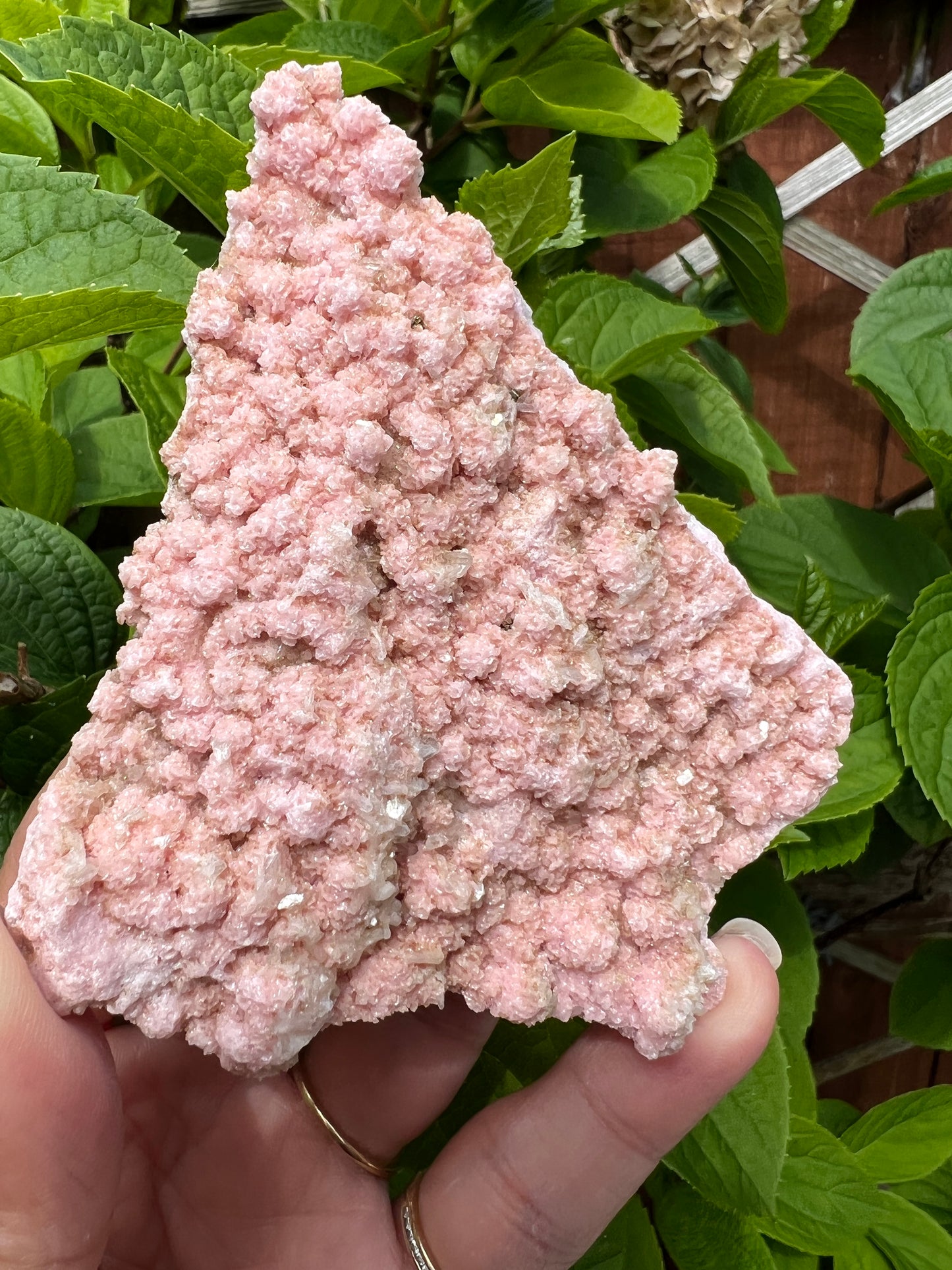 Rhodochrosite with Stilbite