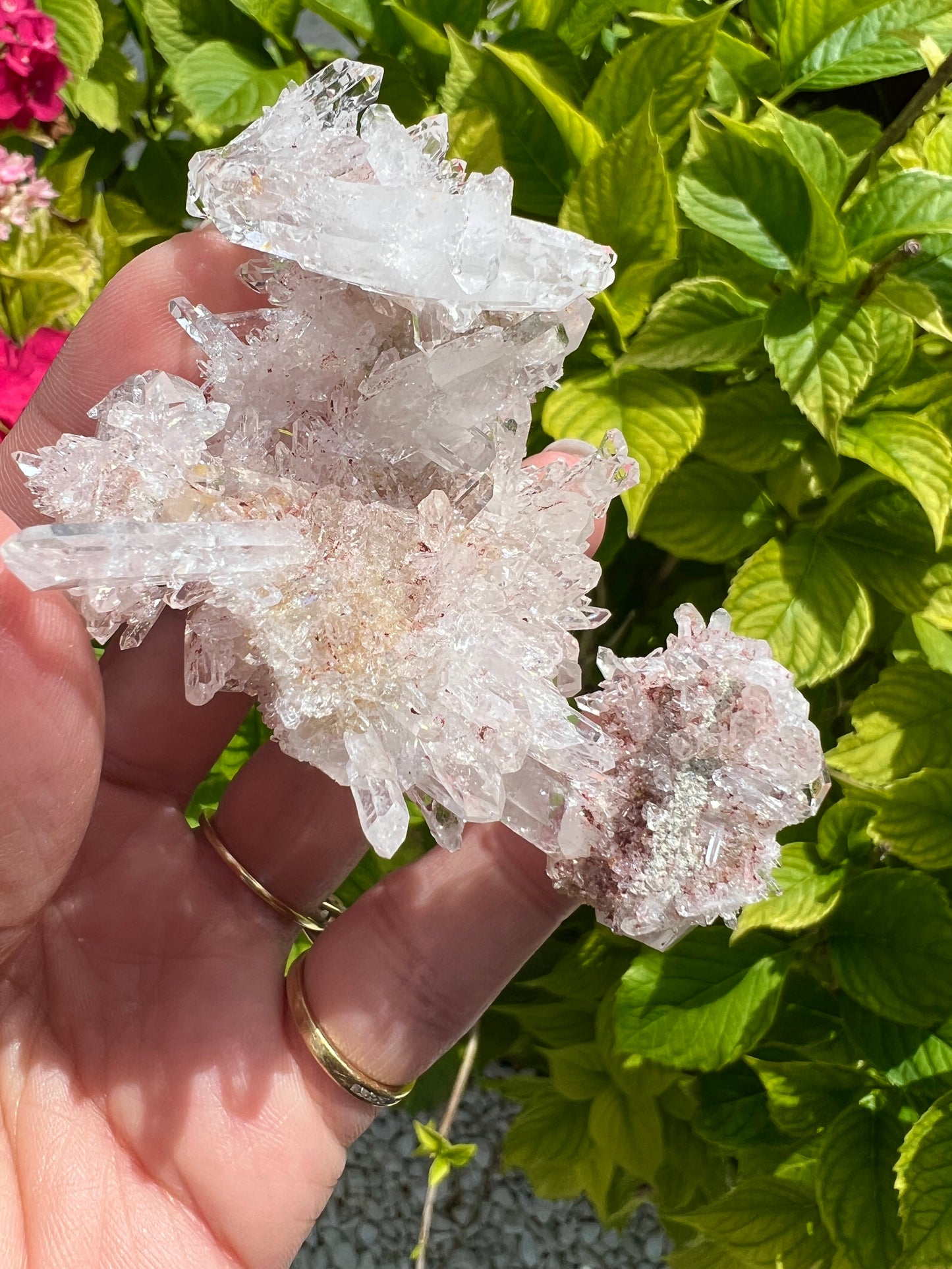 Pink Columbian Lemurian Cluster