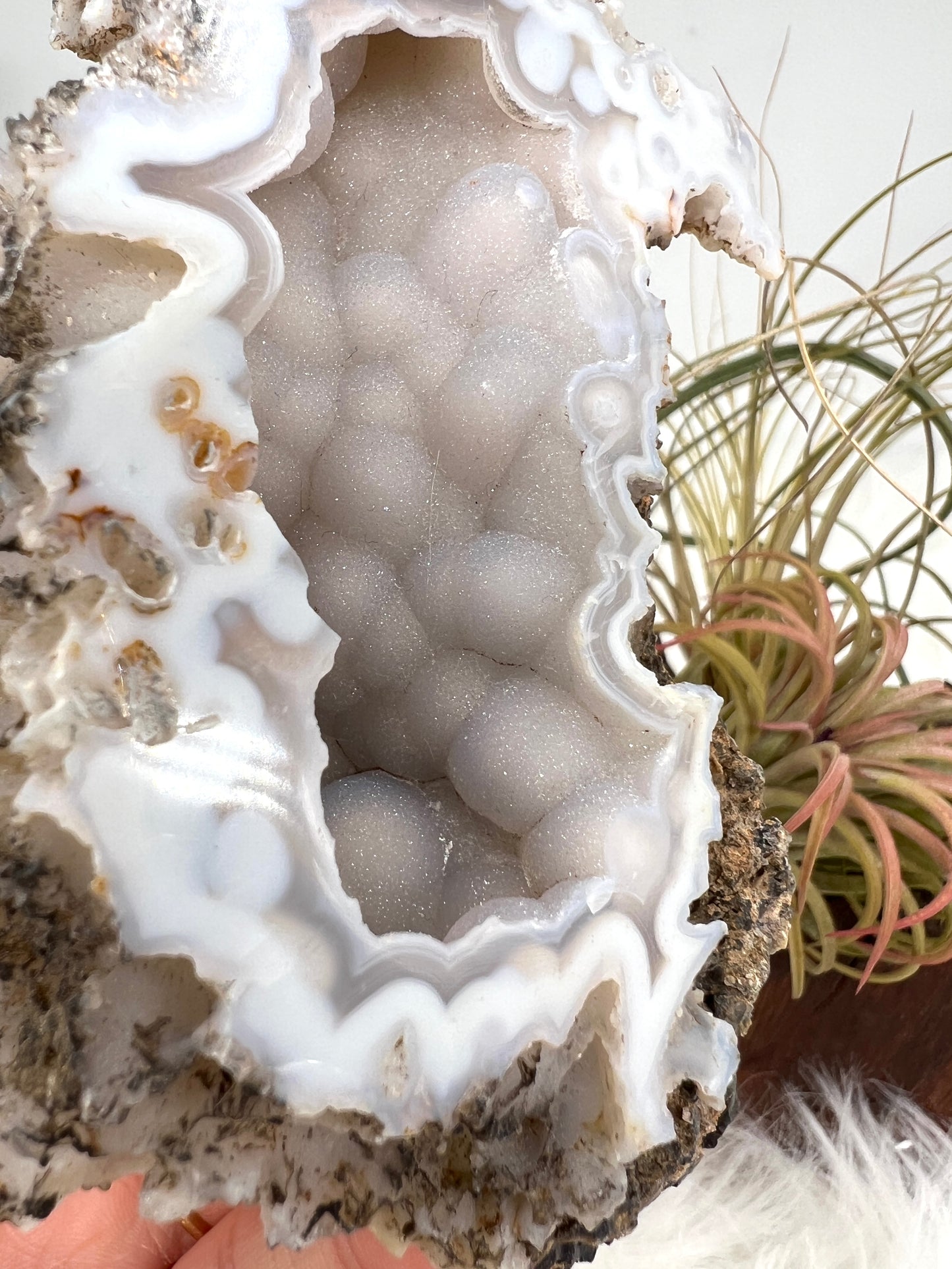 Druzy Chalcedony and Agate Geode