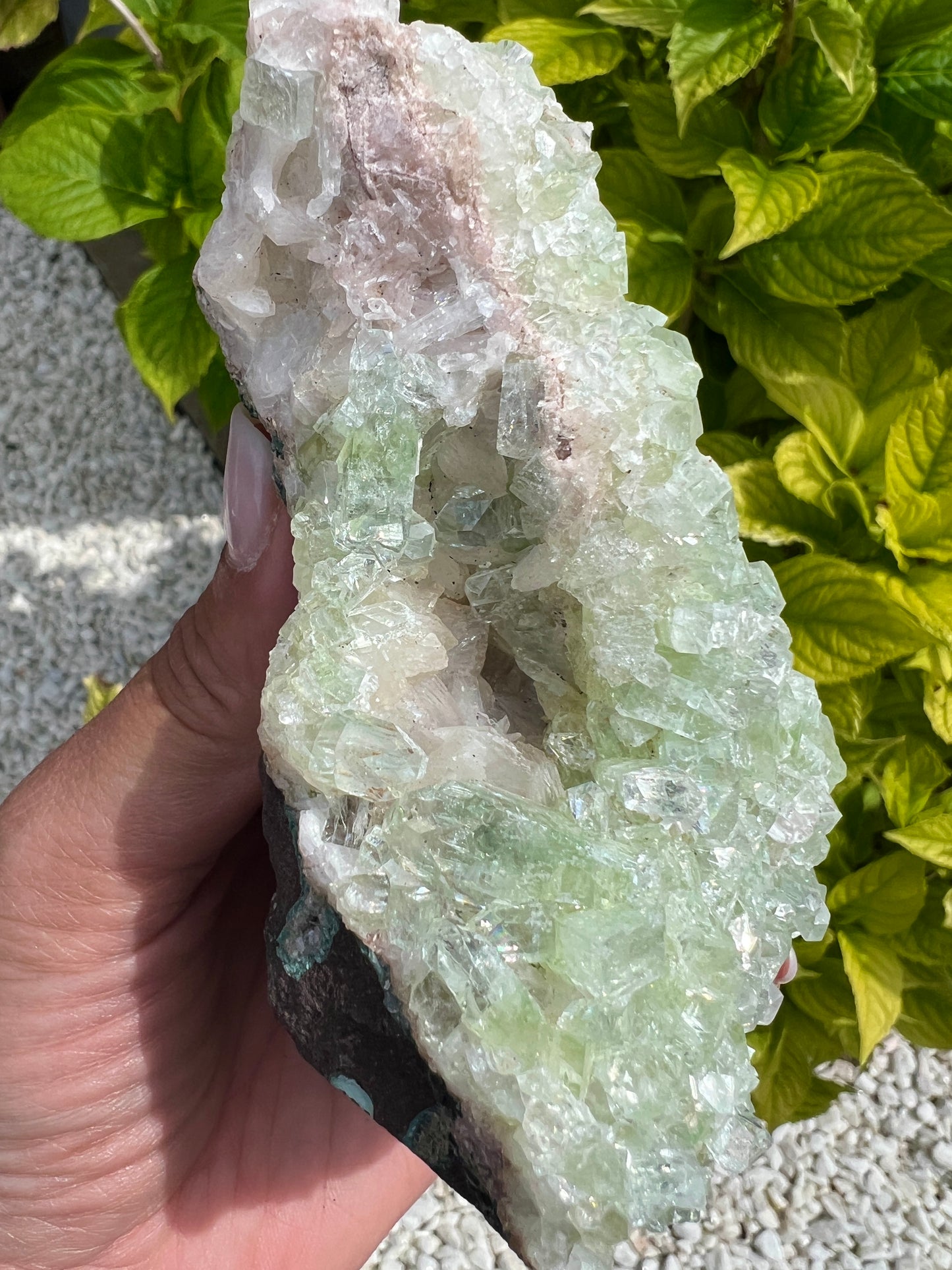 Green Apophyllite (Rare)