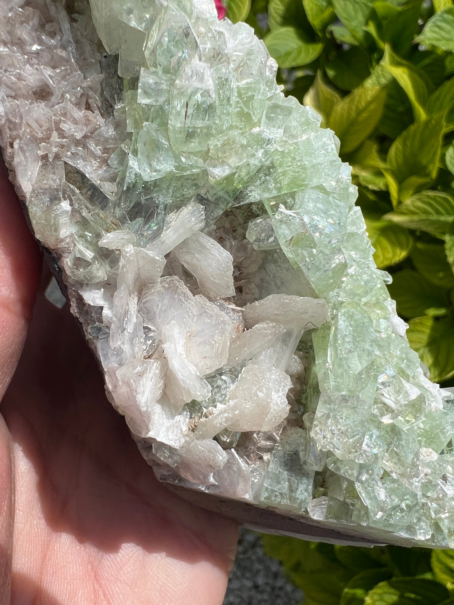 Green Apophyllite (Rare)