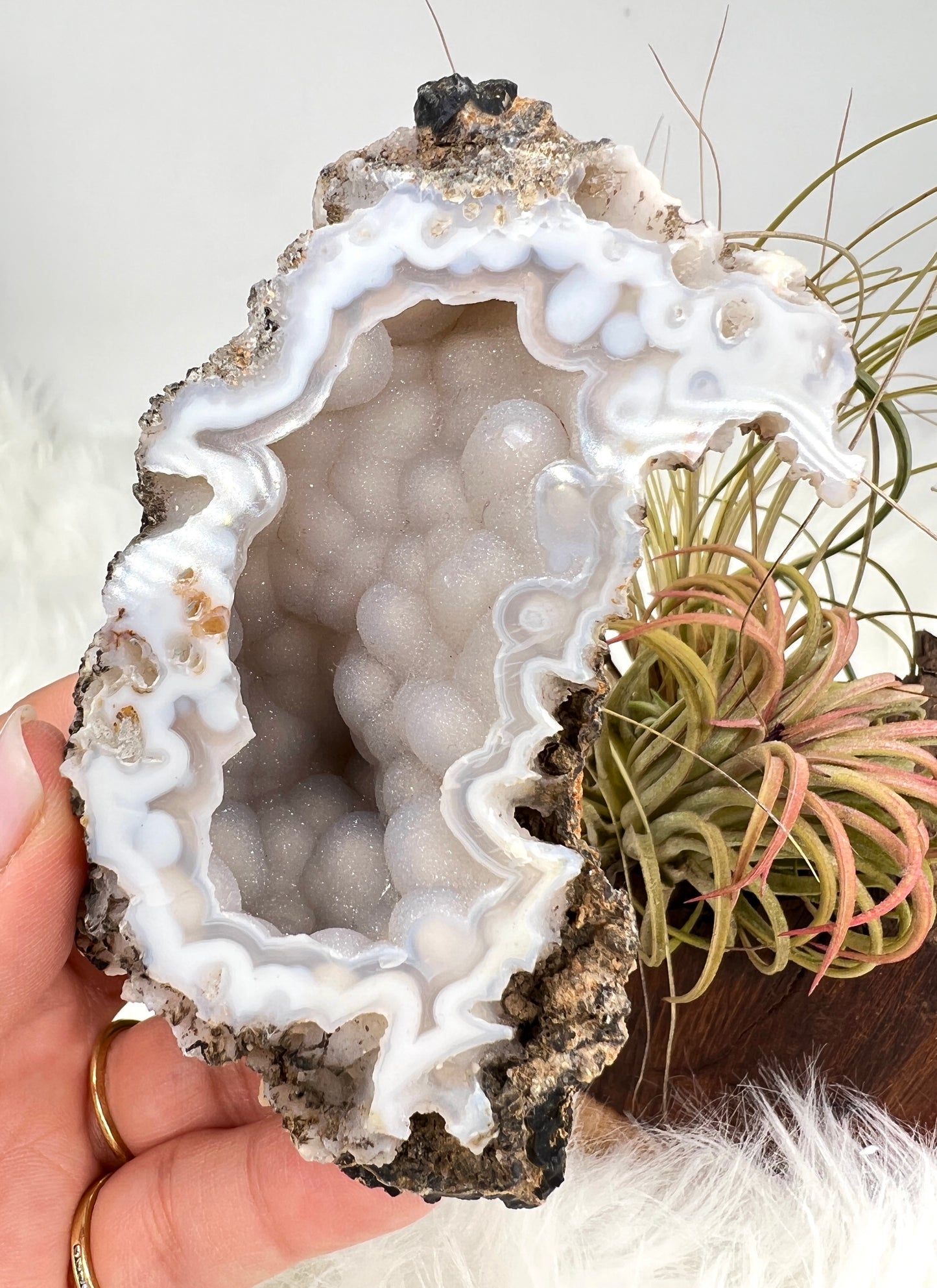 Druzy Chalcedony and Agate Geode