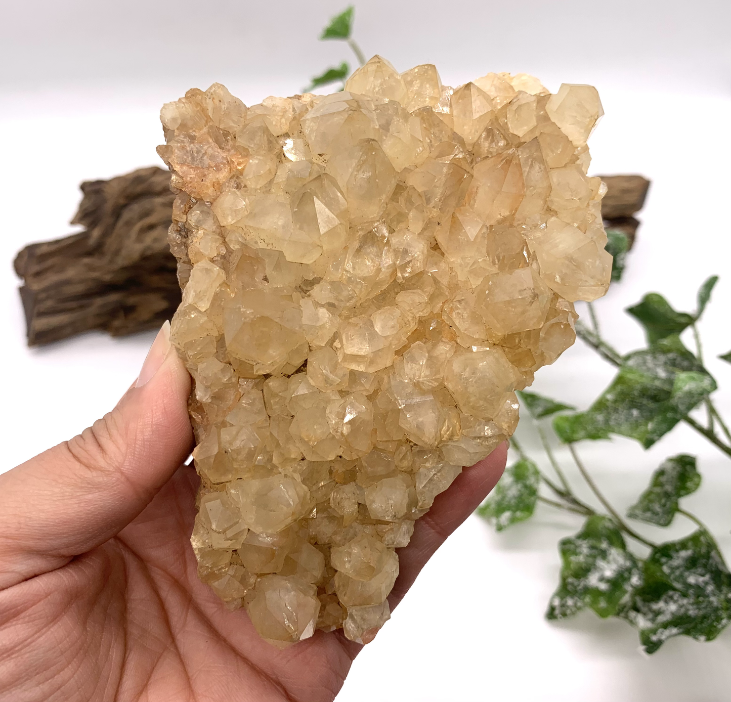 Citrine/Golden Healer Cluster