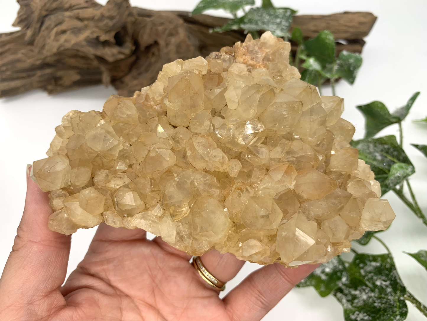 Citrine/Golden Healer Cluster