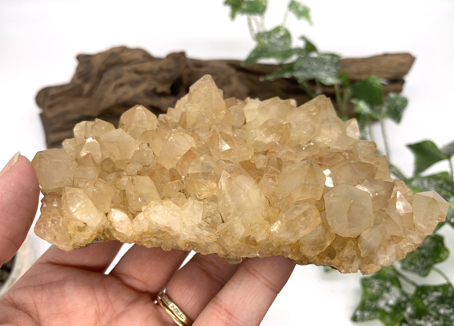 Citrine/Golden Healer Cluster