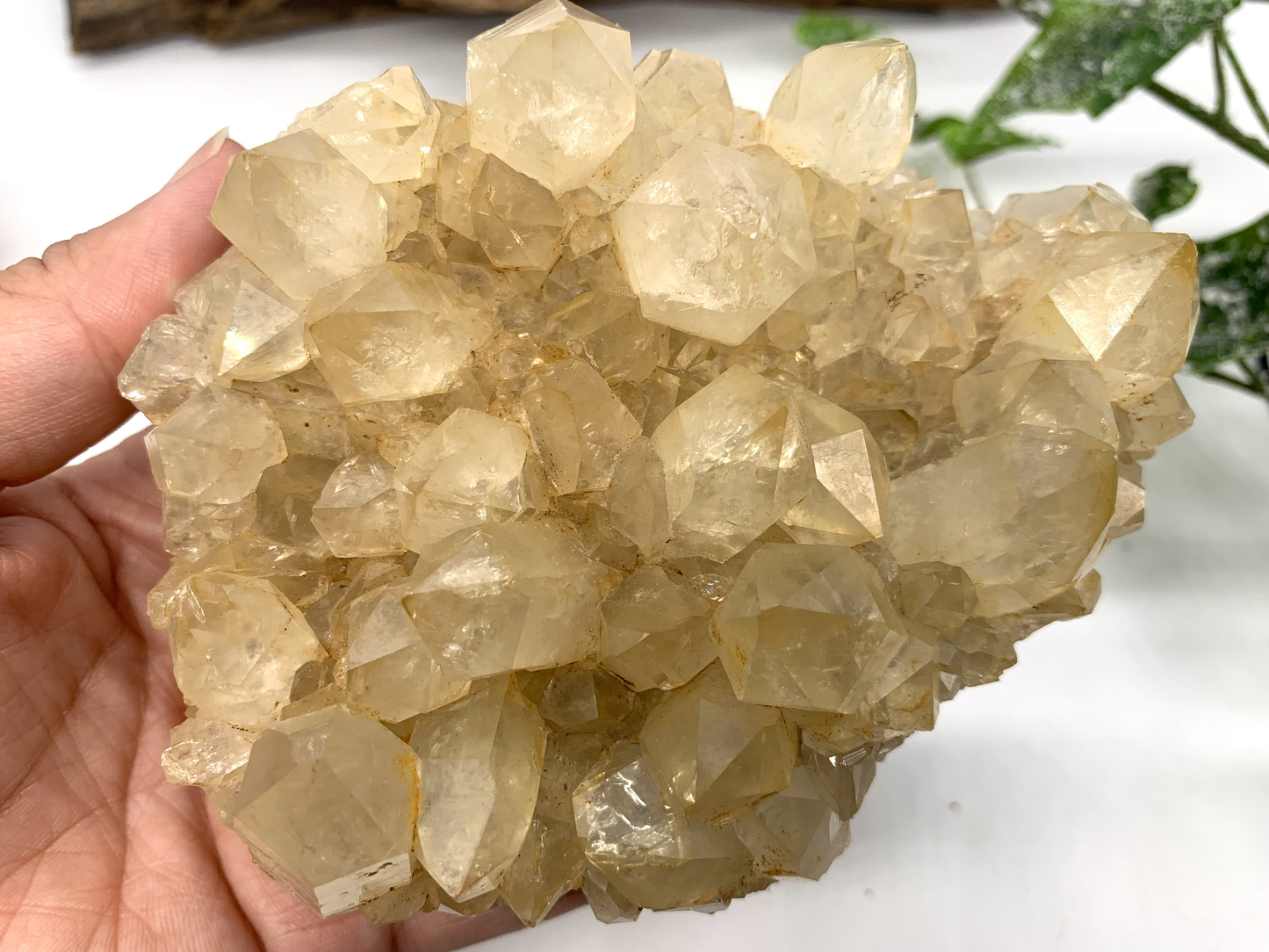 Citrine/Golden Healer Cluster