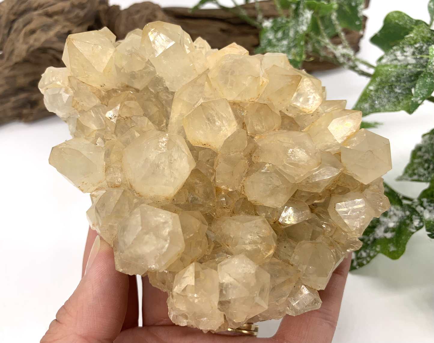 Citrine/Golden Healer Cluster