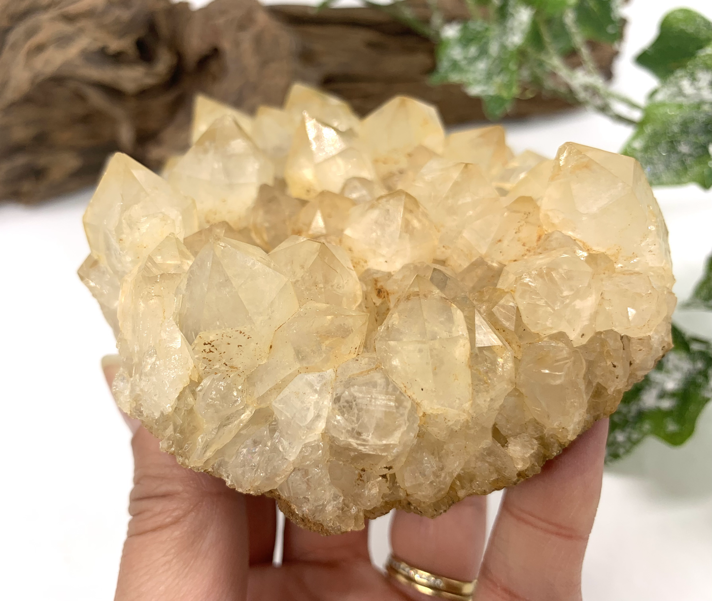 Citrine/Golden Healer Cluster