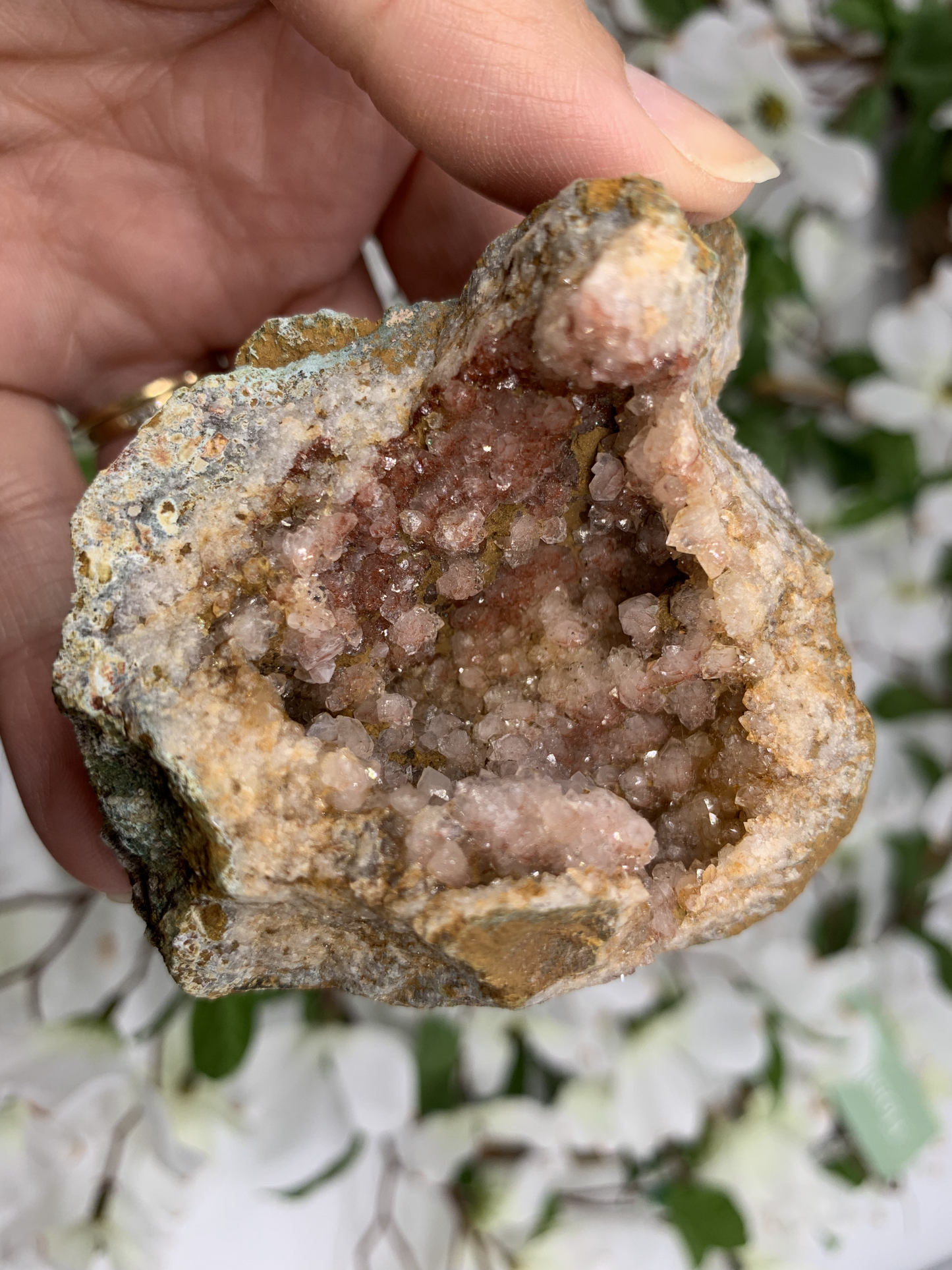 Pink Amethyst Geode