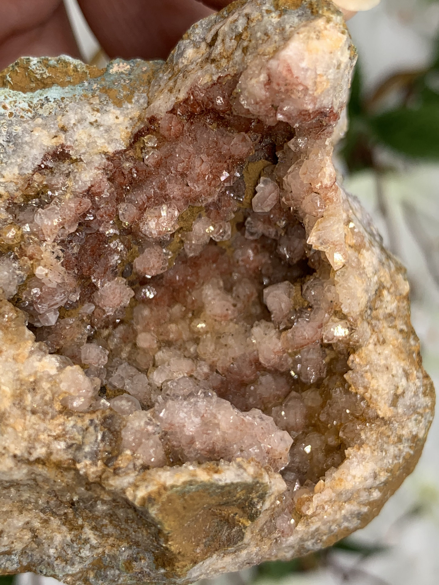 Pink Amethyst Geode