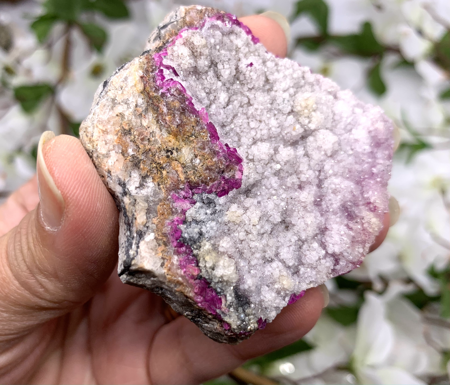 Salrose (Cobaltoan Calcite)