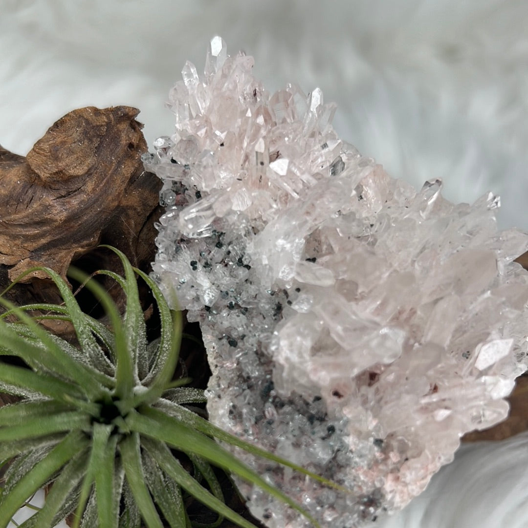 Pink Columbian Lemurian Cluster