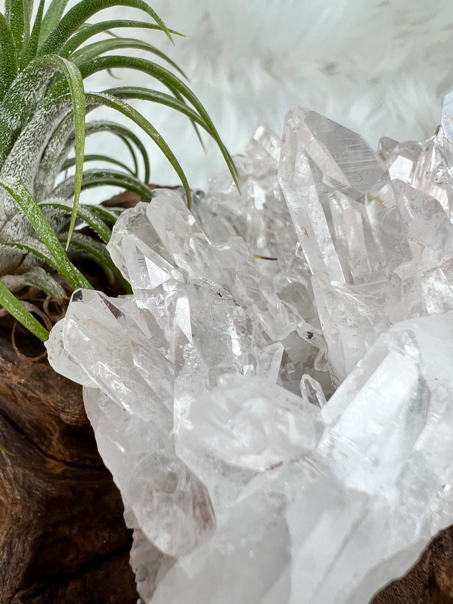 Pink Columbian Lemurian Cluster