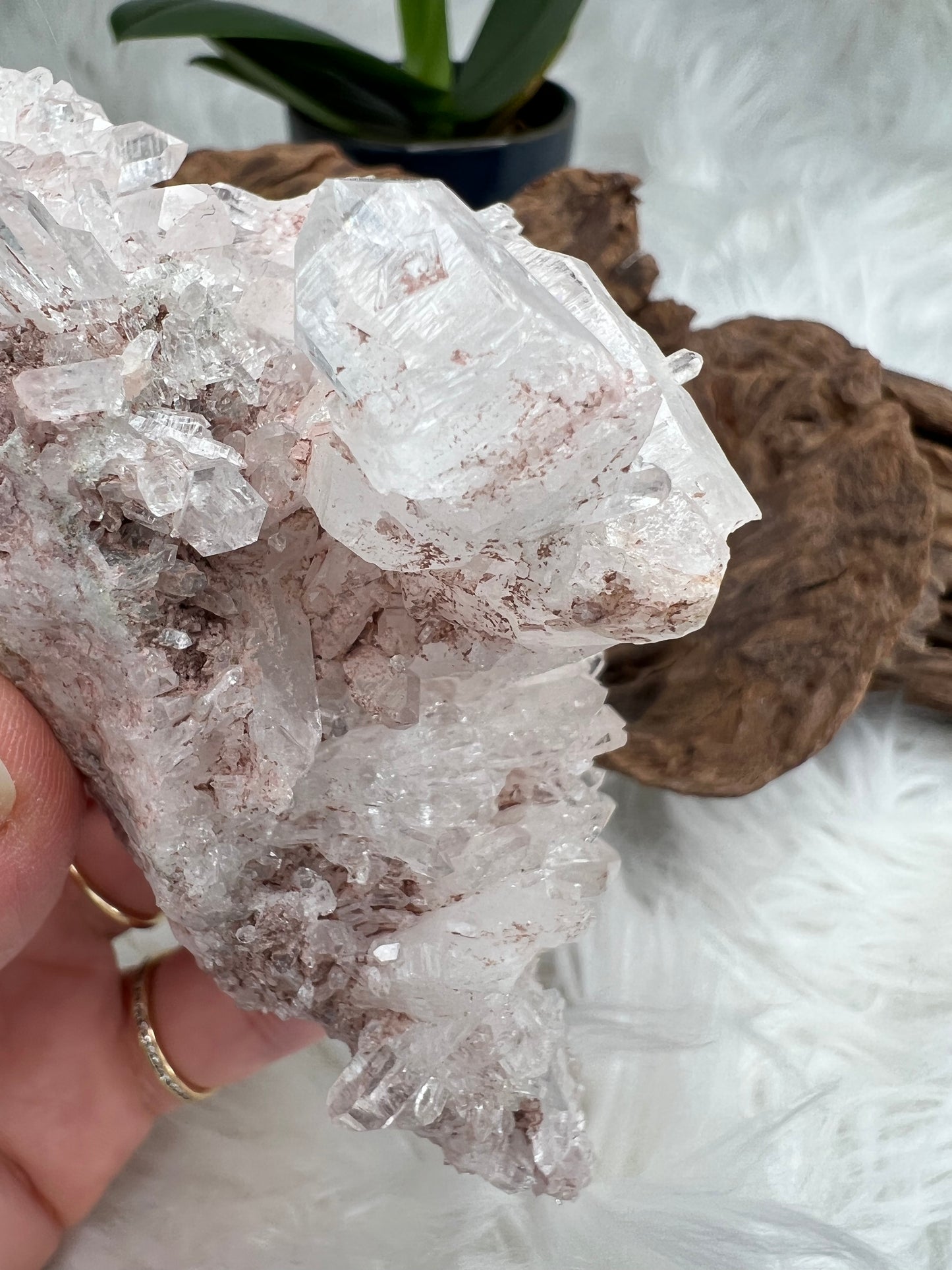 Pink Columbian Lemurian Cluster