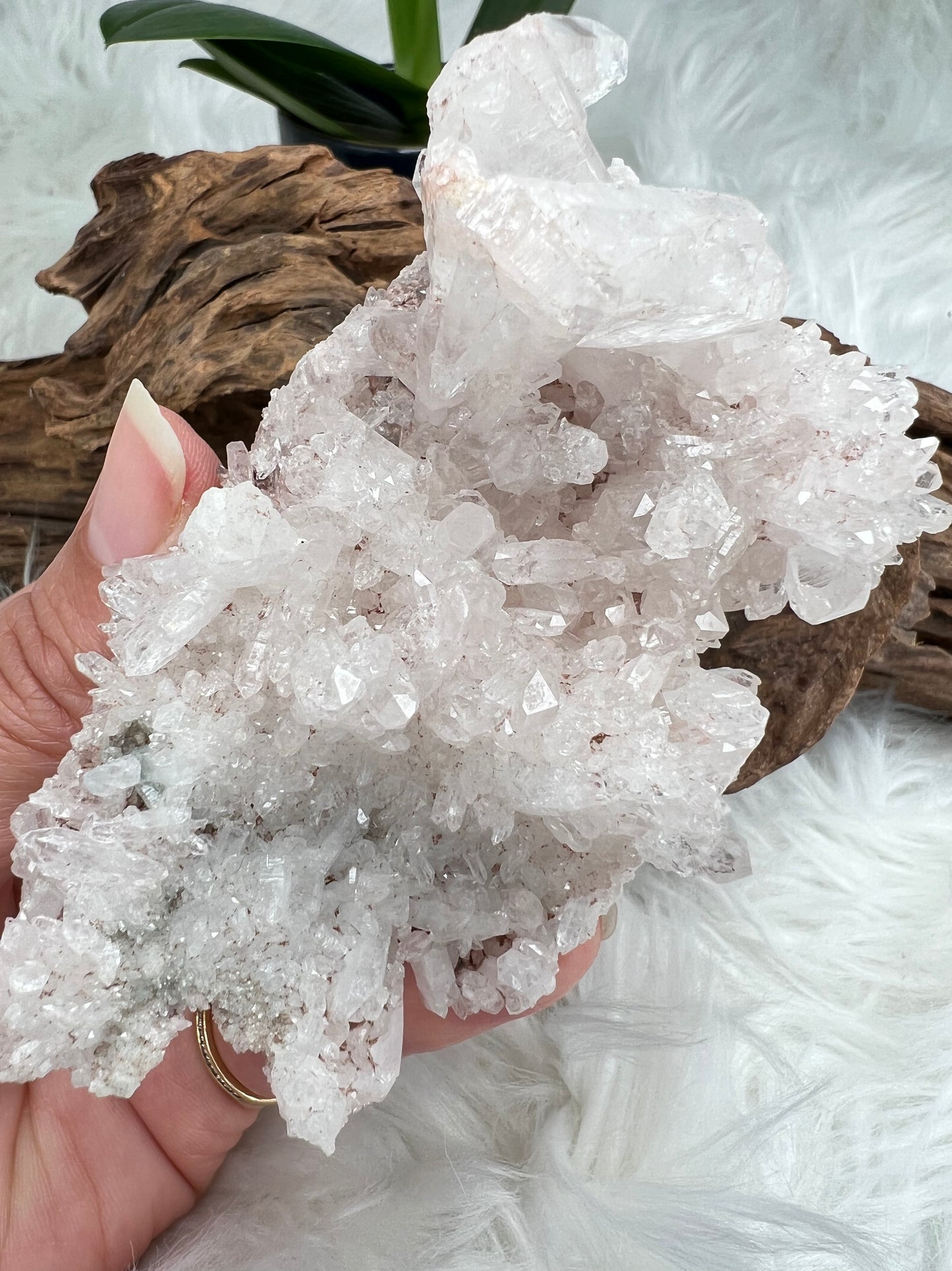 Pink Columbian Lemurian Cluster