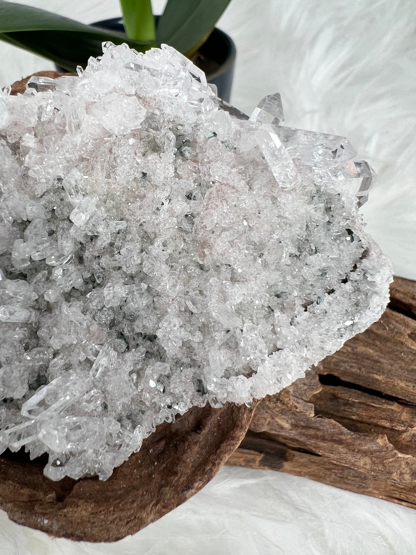 Pink Columbian Lemurian Cluster