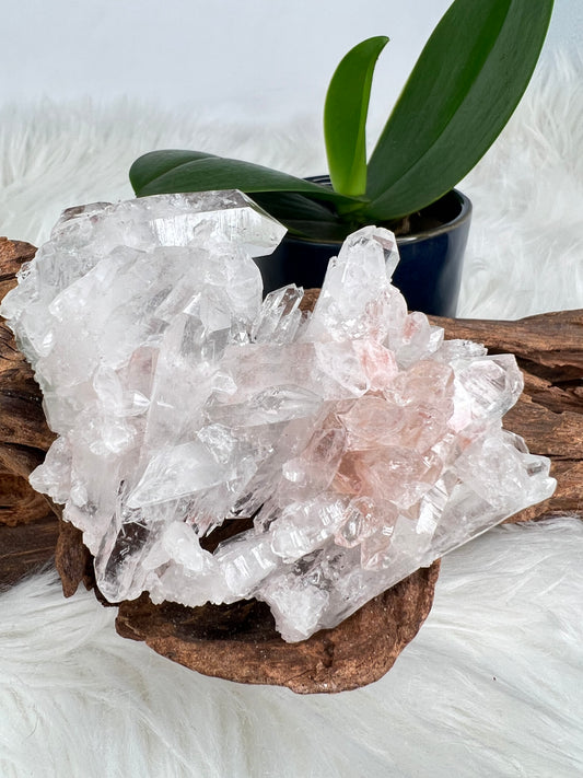 Pink Columbian Lemurian Cluster