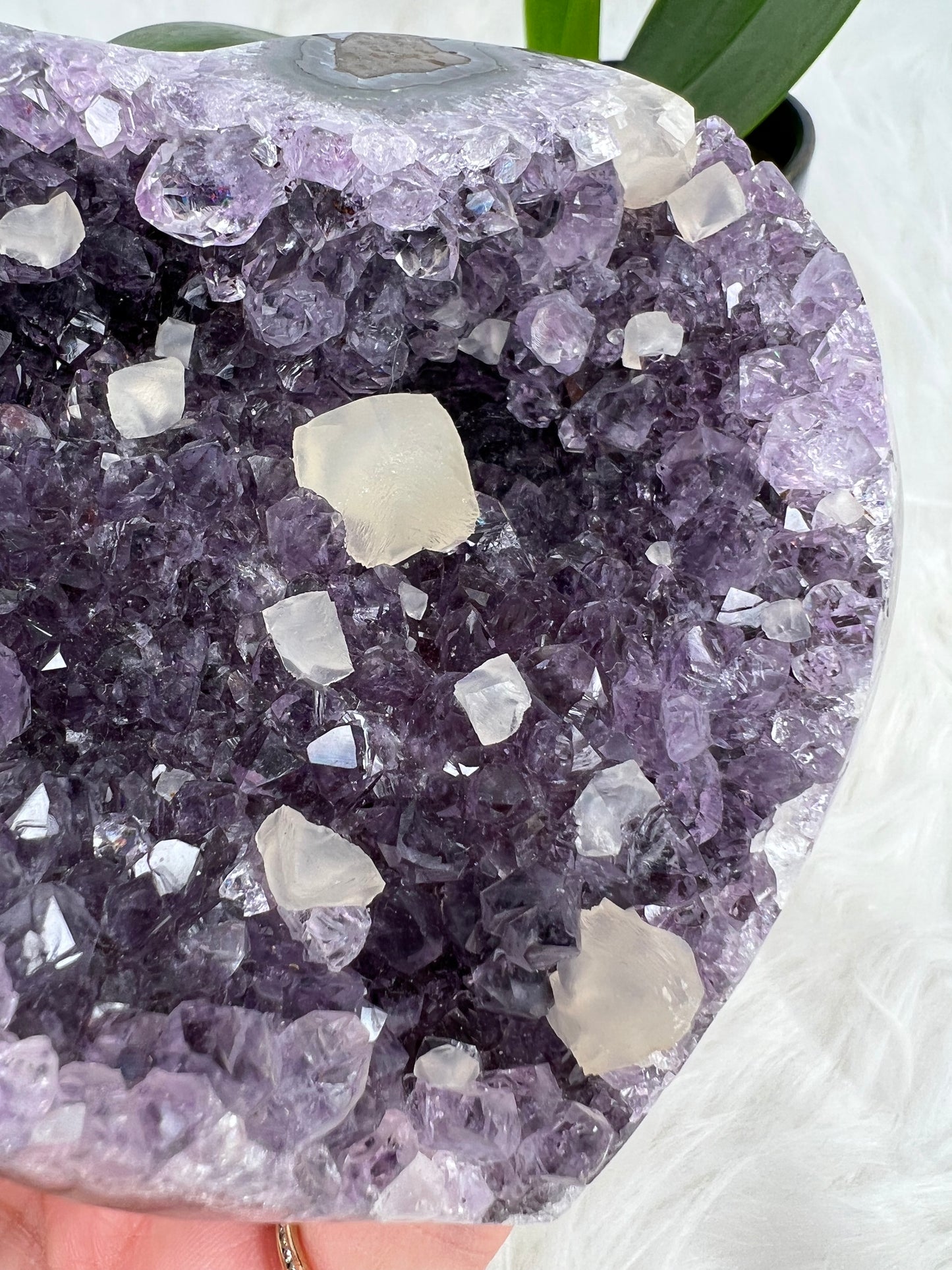 Uruguayan Amethyst Heart