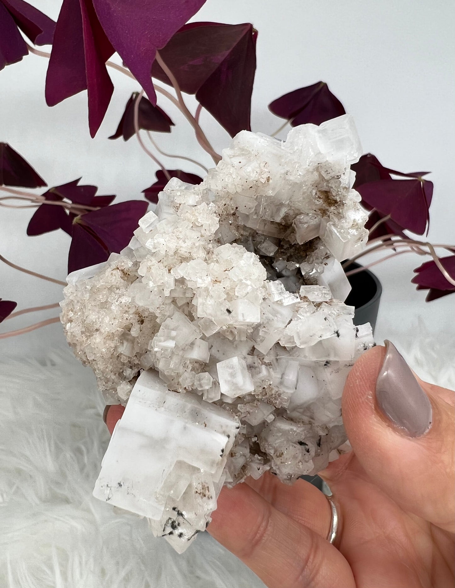 White Cubic Halite